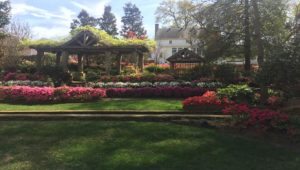91.3 KGLY East Texas Christian Radio God's Beauty Shines in Nature Heard On Air Blog