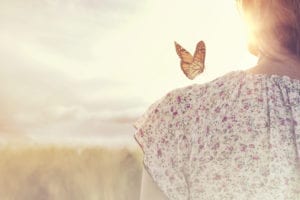 91.3 KGLY East Texas Christian Radio The Beauty of Butterflies Heard On Air Blog Featured Image