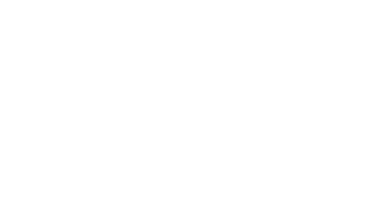 BVT-logo-5-White
